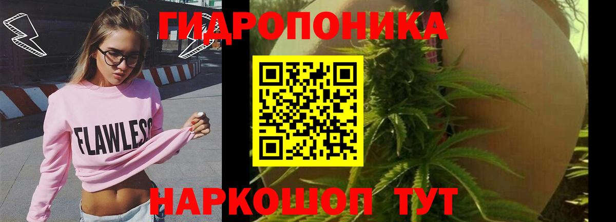Бошки марихуана White Widow  Канабис Amnesia  Вход с VPN  Шишки марихуана гибрид  Боровичи  Марихуана индика 